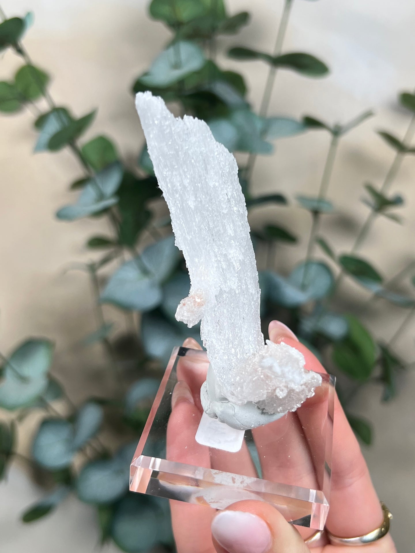 Horn Selenite (46EE)